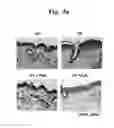 Fig. 09 - Composition for improving skin conditions, containing chlorophyll a or pheophorbide a