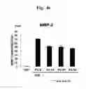 Fig. 16 - Composition for improving skin conditions, containing chlorophyll a or pheophorbide a