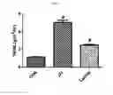 Fig. 02 - COMPOSITION, CONTAINING TYNDALLIZED LACTOBACILLUS DEAD CELLS AS ACTIVE INGREDIENT, FOR SKIN MOISTURIZING OR WRINKLE IMPROVEMENT