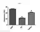 Fig. 03 - COMPOSITION, CONTAINING TYNDALLIZED LACTOBACILLUS DEAD CELLS AS ACTIVE INGREDIENT, FOR SKIN MOISTURIZING OR WRINKLE IMPROVEMENT