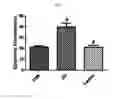 Fig. 04 - COMPOSITION, CONTAINING TYNDALLIZED LACTOBACILLUS DEAD CELLS AS ACTIVE INGREDIENT, FOR SKIN MOISTURIZING OR WRINKLE IMPROVEMENT