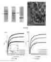 Fig. 06 - PEPTIDE HYDROGEL PROPERTIES AND ITS APPLICATIONS