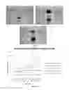 Fig. 13 - PEPTIDE HYDROGEL PROPERTIES AND ITS APPLICATIONS