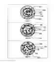 Fig. 05 - ABUSE DETERRENT IMMEDIATE RELEASE BIPHASIC MATRIX SOLID DOSAGE FORM