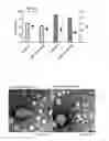 Fig. 01 - NANOENCAPSULATION OF ANTIGEN-BINDING MOLECULES