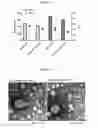 Fig. 02 - NANOENCAPSULATION OF ANTIGEN-BINDING MOLECULES
