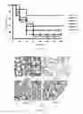 Fig. 25 - Use of kukoamine A and kukoamine B