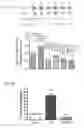 Fig. 03 - METHODS OF LIMITING MORBIDITY IN HEMOGLOBINOPATHIES
