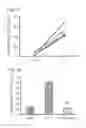 Fig. 04 - METHODS OF LIMITING MORBIDITY IN HEMOGLOBINOPATHIES