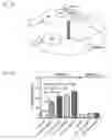 Fig. 13 - METHODS OF LIMITING MORBIDITY IN HEMOGLOBINOPATHIES