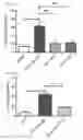 Fig. 14 - METHODS OF LIMITING MORBIDITY IN HEMOGLOBINOPATHIES