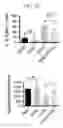 Fig. 08 - Graphene Nanostructure-Based Pharmaceutical Composition for Preventing or Treating Neurodegenerative Diseases