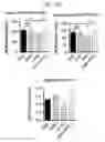 Fig. 10 - Graphene Nanostructure-Based Pharmaceutical Composition for Preventing or Treating Neurodegenerative Diseases