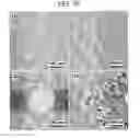 Fig. 14 - Graphene Nanostructure-Based Pharmaceutical Composition for Preventing or Treating Neurodegenerative Diseases