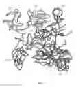 Fig. 02 - Tuneable delivery of nanoparticle bound active plasmin for the treatment of thrombosis