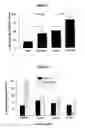 Fig. 02 - Compositions comprising ornithine and phenylacetate or phenylbutyrate for treating hepatic encephalopathy