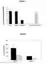 Fig. 04 - Compositions comprising ornithine and phenylacetate or phenylbutyrate for treating hepatic encephalopathy