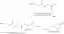 Fig. 10 - Multi-arm polymeric alkanoate conjugates