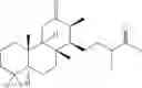 Fig. 57 - HNF4-α antagonist and use thereof
