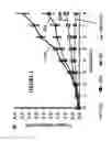 Fig. 02 - Terpene Control in Scaleable Cannabinoid Medicinal Formulations