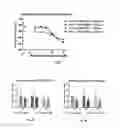 Fig. 03 - Method of treatment of a mucopolysaccharidosis