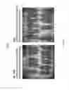 Fig. 17 - Compounds for treating brain cancer