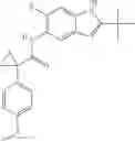 Fig. 48 - Modulators of ATP-binding cassette transporters