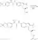 Fig. 796 - Modulators of ATP-binding cassette transporters