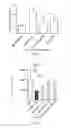 Fig. 07 - Arf6 inhibitors and methods of synthesis and use thereof