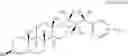 Fig. 11 - OXYSTEROLS AND HEDGEHOG SIGNALING