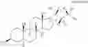 Fig. 26 - OXYSTEROLS AND HEDGEHOG SIGNALING
