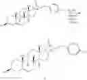 Fig. 47 - OXYSTEROLS AND HEDGEHOG SIGNALING