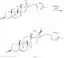 Fig. 55 - OXYSTEROLS AND HEDGEHOG SIGNALING