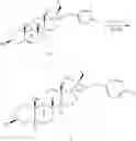 Fig. 56 - OXYSTEROLS AND HEDGEHOG SIGNALING