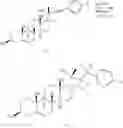 Fig. 57 - OXYSTEROLS AND HEDGEHOG SIGNALING