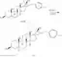 Fig. 58 - OXYSTEROLS AND HEDGEHOG SIGNALING