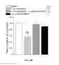 Fig. 03 - Treating Arrhythmia with Mitochondrial-Targeted Antioxidants