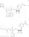 Fig. 08 - Nicotinamide mononucleotide derivatives and their uses