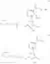 Fig. 362 - Nicotinamide mononucleotide derivatives and their uses