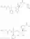 Fig. 403 - Nicotinamide mononucleotide derivatives and their uses