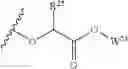 Fig. 74 - Nicotinamide mononucleotide derivatives and their uses