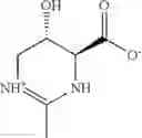 Fig. 03 - COMPOSITION CONTAINING ECTOINE OR HYDROXYECTOINE AS AN ACTIVE SUBSTANCE FOR PROMOTING THE REGENERATION OF INJURED BODY TISSUE