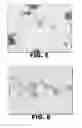 Fig. 04 - ANTIMICROBIAL COMPOSITIONS AND METHODS OF USE