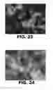 Fig. 14 - ANTIMICROBIAL COMPOSITIONS AND METHODS OF USE