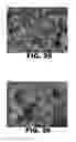 Fig. 15 - ANTIMICROBIAL COMPOSITIONS AND METHODS OF USE