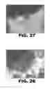 Fig. 16 - ANTIMICROBIAL COMPOSITIONS AND METHODS OF USE