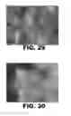 Fig. 17 - ANTIMICROBIAL COMPOSITIONS AND METHODS OF USE