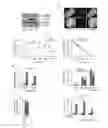 Fig. 01 - Methods for treating insulin resistance and for sensitizing patients to GLP1 agonist therapy