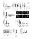 Fig. 10 - Methods for treating insulin resistance and for sensitizing patients to GLP1 agonist therapy