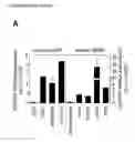 Fig. 01 - NOVEL MESENCHYMAL STEM CELL SURFACE MARKER
